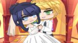 Wedding with troublemaker ||Adrinette|| |Troublemaker Au| ||Miraculous Ladybug||