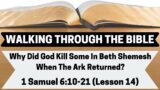 Why Did God Kill Some In Beth Shemesh When The Ark Returned? | 1 Samuel 6:10-21 | Lesson 14 | WTTB