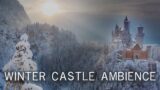Winter Castle Ambience | Dark Ambient Music
