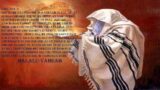 YAHUAH STANDS IN THE ASSEMBLY  OF THE RIGHETOUS
