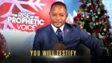 YOU WILL TESTIFY | The Rise of The Prophetic Voice | Tuesday 20 December 2022 | AMI LIVESTREAM