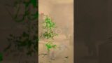 Zombie Hunter Offline Games Campaign Region 1 Blood Trail, #shorts, #games, #gaming, #gameplay