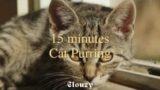 15-min Cat Purring | White noise, Blue Noise, Baby soothing, Meditation, Nature sounds
