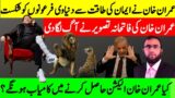 **Imran Khan Defeats The Company Against All Odds** Can Imran Khan Force New Elections | Waqar Malik