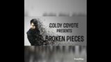 Broken Pieces