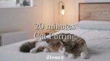 20-min Cat Purring | White noise,  Blue Noise, Baby soothing, Meditation, Nature sounds