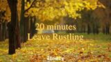 20-min Leave Rustling | White noise, Pink Noise, Baby soothing, Meditation, Nature sounds