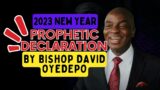 2023 NEW YEAR PROPHETIC DECLARATIONS BY BISHOP DAVID OYEDEPO