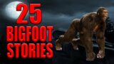 25 Bigfoot and Cryptid Stories_Best of Dixie Cryptid Vol 7