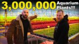 3,000,000 PLANTS PER YEAR: How Your Aquarium Plants Are Made & Grown (FULL TOUR!!)