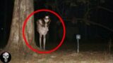 5 SCARY GHOST Videos That'll Chill You To the Bone