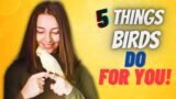5 Things Your Birds Do for You Without You Ever Noticing