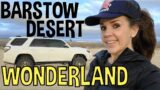 #691 Barstow Desert Wonderland: In Search of Strange and Unusual Stuff in the Mojave Desert