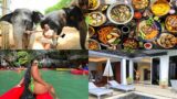 7 Days In Thailand | Swimming With Elephants, Food Tour, Island Hopping and MORE…