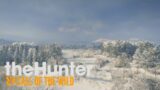 A Morning in Medved – TheHunter Call of the Wild – Medved-Taiga LIVE Part 6 – 01/12/2022