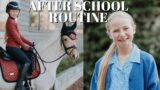 AFTER SCHOOL RIDING ROUTINE – DRESSAGE TRAINING