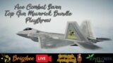 Ace Combat 7 Maverick Bundle Playthrew