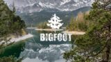 BIGFOOT Came To My Campfire And I Saw His Kind Soul Through His Eyes | SASQUATCH ENCOUNTERS