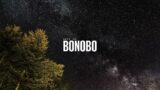 Best of Bonobo