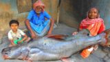 Big Size River Catfish Cooking Eating by santali tribal old couple