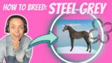 Breeding *STEEL GREY* coat is REALLY HARD. Another unique coat for Wild Horse Island's / ROBLOX