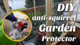 Building Our DIY ANTI-SQUIRREL Garden Cage! (Garden Bed Cover DIY)