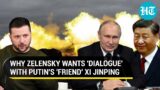 China's Xi to end Putin's Ukraine War? Zelensky sends new letter despite repeated snubs