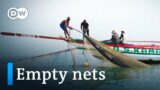 Chinese fishing threatens the livelihoods of Sierra Leone’s fishermen | DW Documentary