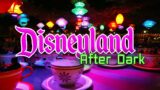 Disneyland Rides at Night [4K POVs]