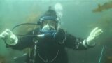 Female Diver is Diving with Shell Drysuit and OTS Full Face Mask in Sea