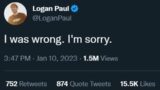 Final Update on the Logan Paul Drama