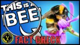 Food Theory's Bees are fish video is badly researched | Fact Check