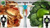 Foods that lower your Electromagnetic Force Field