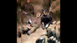 Freshly excavated 2000 yr old Terracotta Warriors still showing original color before rapid deter…