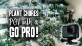 GoPro With Me! | Plant Chores POV and Chit Chat