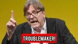 Guy Verhofstadt rages at 'troublemaker' Germany as MEP fumes over 'divided' EU