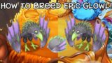 How To Breed Epic Glowl | My Singing Monsters