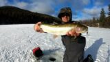 How To Ice Fishing: Mid-Lake Island Structure Rainbow and Brook Trout