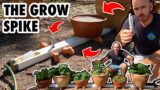 How to Build a Wicking, Terracotta Pot, Rain Gutter Grow System