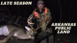Hunting Public land – Late Season – Arkansas – Buck Dropped in His Tracks