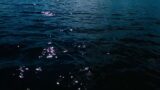 Hypnotic Deep Blue Waters – Healing & Relaxing Sounds
