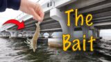I Dropped This Bait Next To a Bridge and Caught a MONSTER FISH! Pensacola Florida