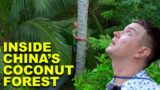 I Go Deep Inside China's Coconut Forest