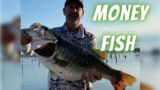 Lake Fork Bass Fishing Seminar: Tournament Tips For Monster Money Winning Bass Like This!!!