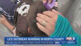 Lice Outbreak Warning in North County