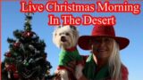 Live Christmas Morning From The Desert, with RVRebel Girl and Others…
