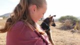 Living in Mexico – Animal Rescue Vlog