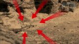 Mars: Perseverance Rover – Find an unidentified object on the surface of Mars