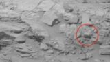 Mars scientists think they’ve found a grizzly bear on the Red Planet.