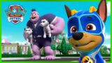 Mighty Pups Charged Up fix the train tracks and More! | PAW Patrol | Cartoons for Kids Compilation